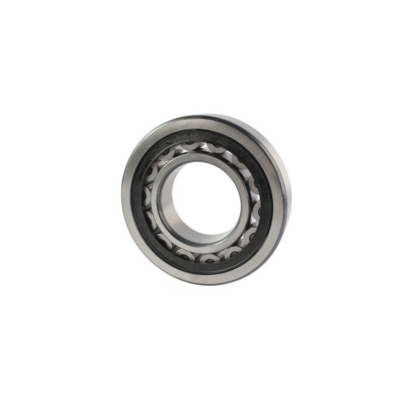 NU2216-E-XL-TVP2-C3 2