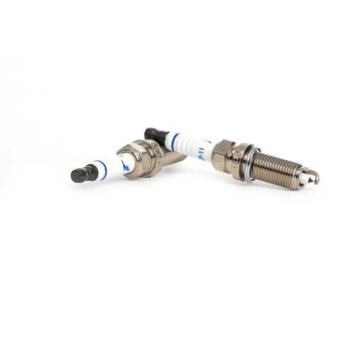GYED61CP-11