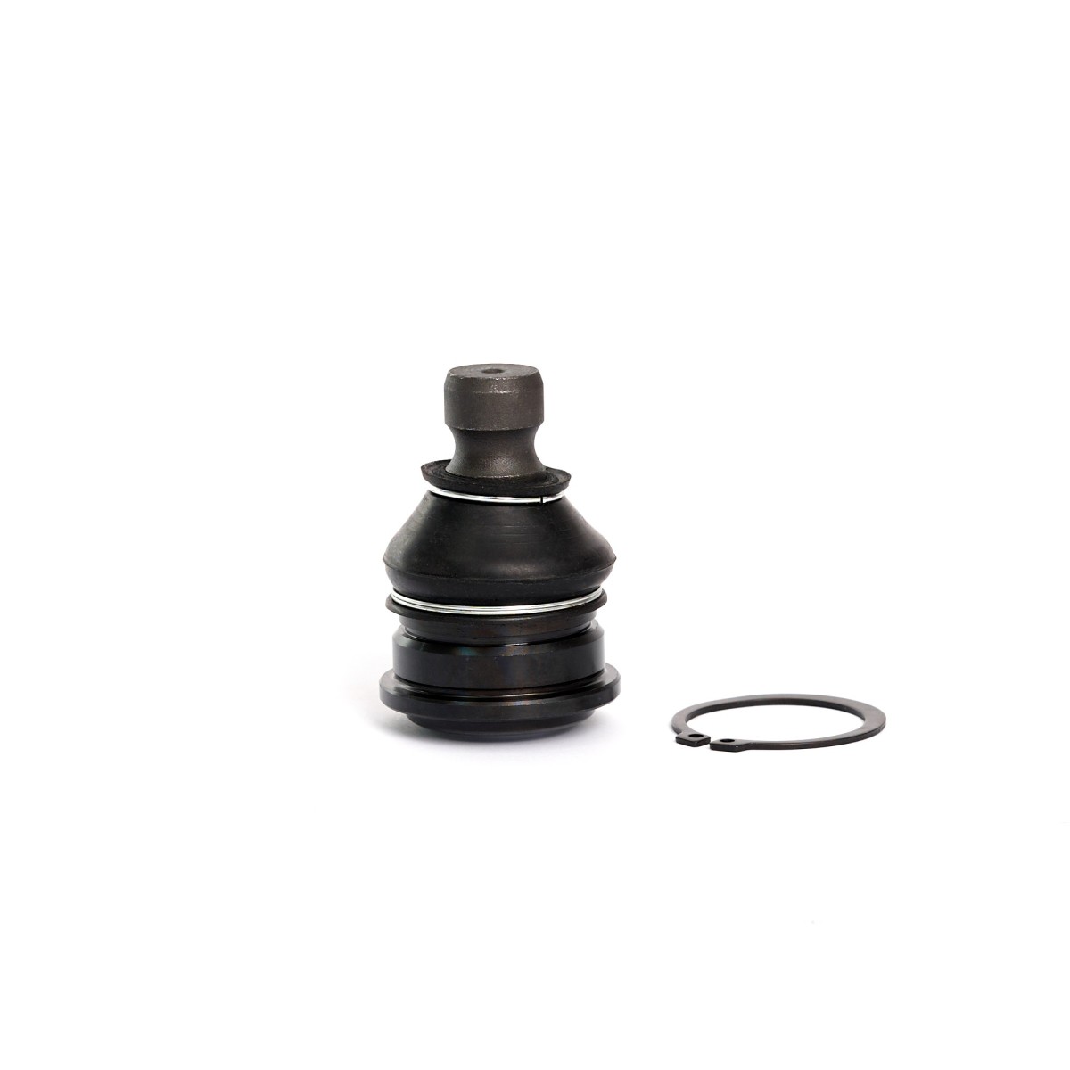 0110-0055 (SBK-8442 / CBKH-22)