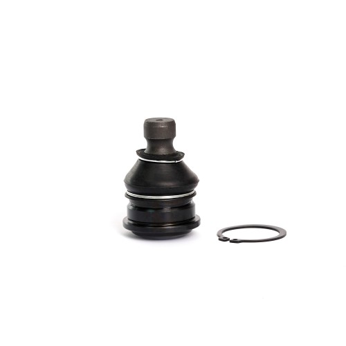 0110-0055 (SBK-8442 / CBKH-22)