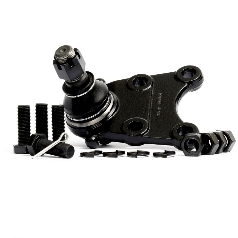 0107-0265 (SB-5302 / CBIS-13)