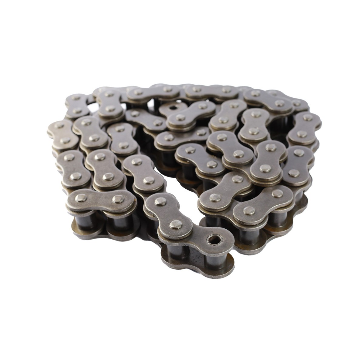 RAC-160-1R-10ft CADENA ANSI