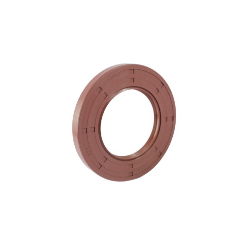 65-110-12 TC VITON