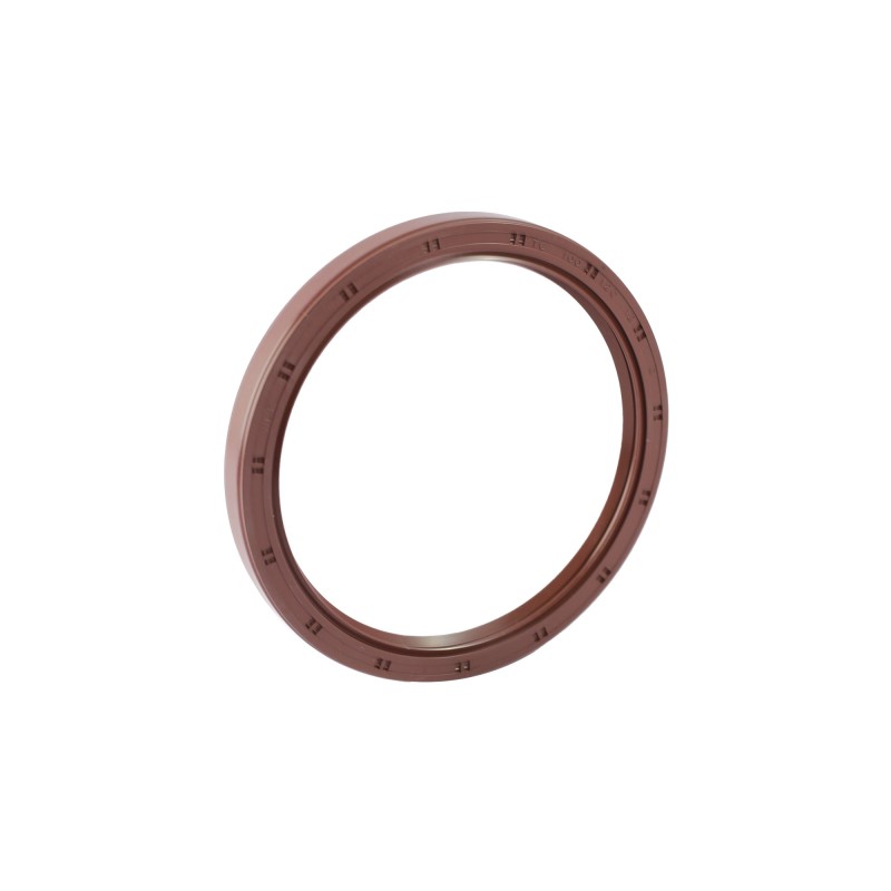 100-120-12 TC VITON