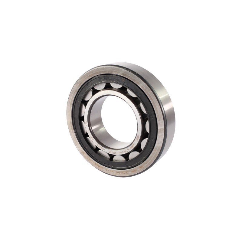 NJ316-E-XL-TVP2-C3 2