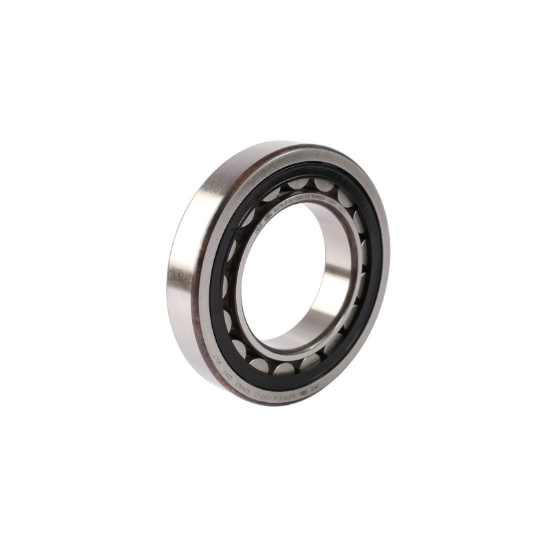 NU219-E-XL-TVP2-C3 2