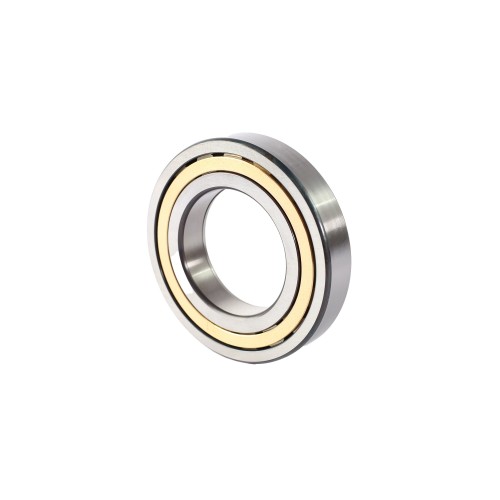 NUP214-E-XL-M1-C3
