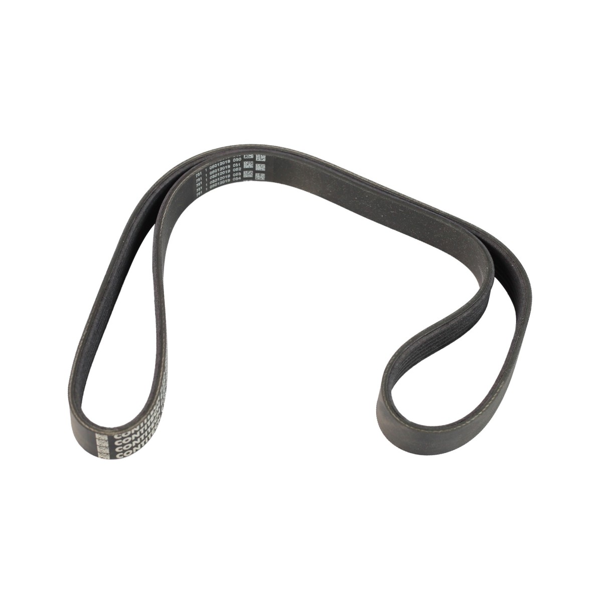 6PK1059 ELASTICA