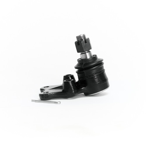 0107-0255 (SB-5282 / CBIS-15)