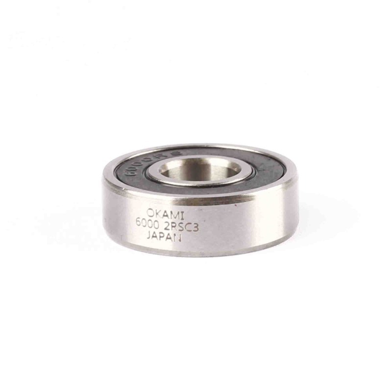 6000-2RS-C3 2
