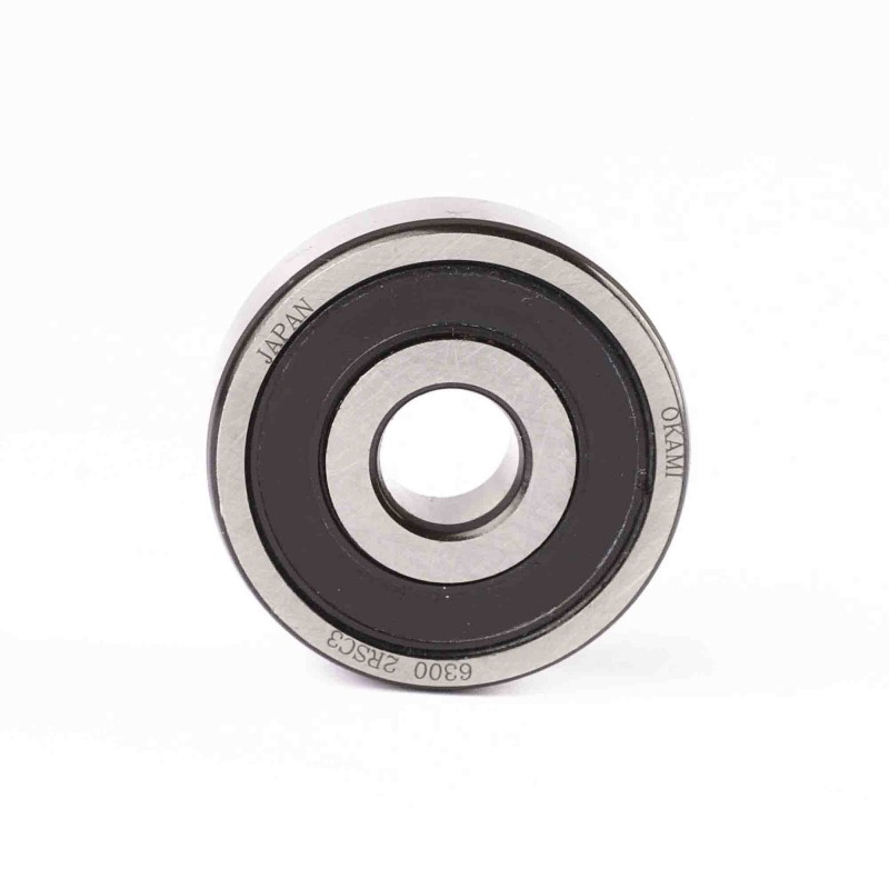 6300-2RS-C3