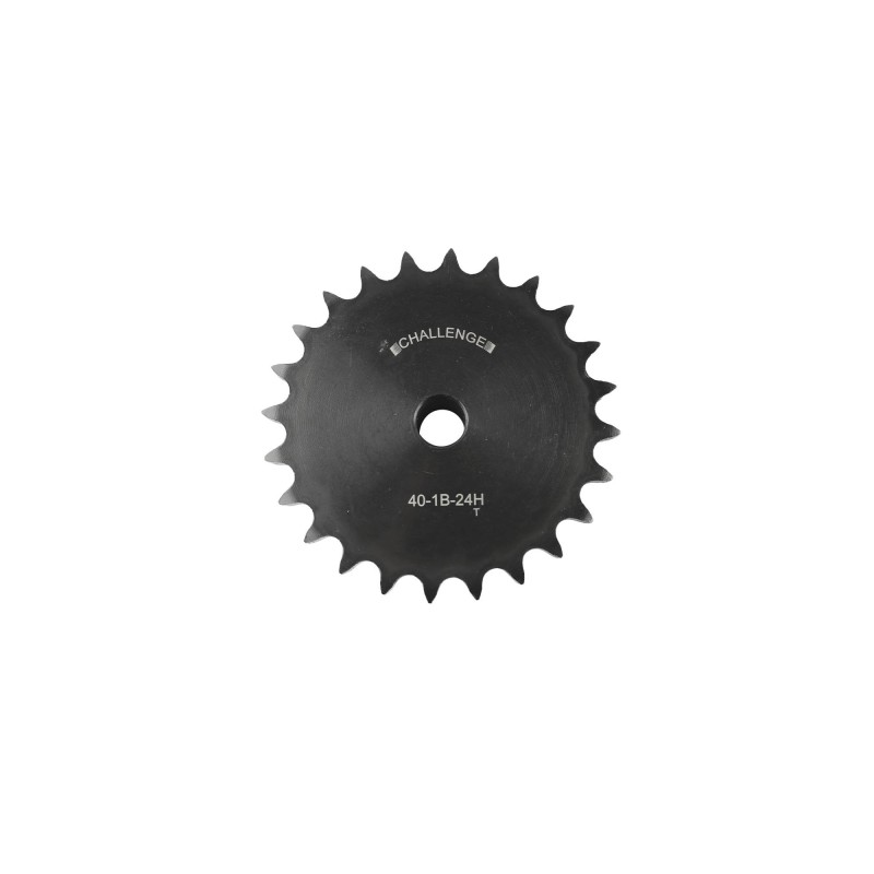 0401B24H PIÑON 2