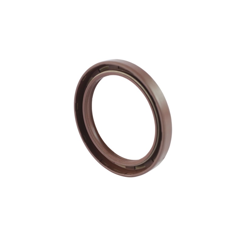 65-85-10 TC VITON 2
