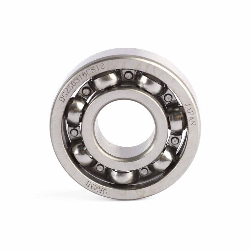 DG256318CS12 2